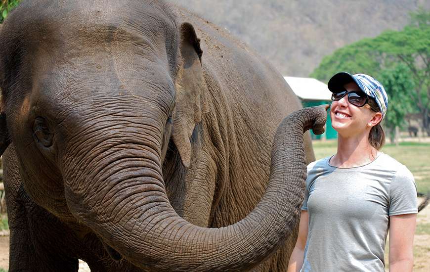 Chiang Mai Elephant Nature Park