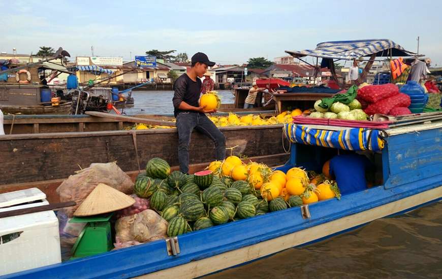 Mekong Delta produces