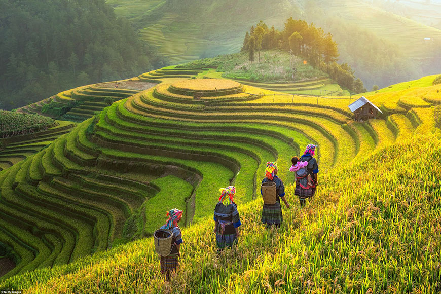 Vietnam Travel Advice 2022: Things to know before traveling to Vietnam