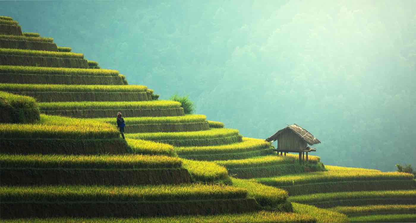 Vietnam's Commitment to Sustainability